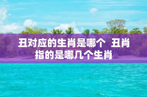 丑对应的生肖是哪个 丑肖指的是哪几个生肖