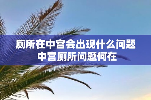 厕所在中宫会出现什么问题 中宫厕所问题何在