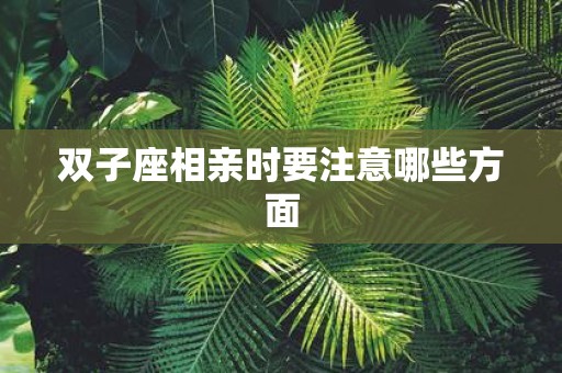 双子座相亲时要注意哪些方面