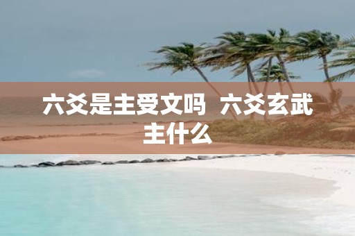 六爻是主受文吗 六爻玄武主什么
