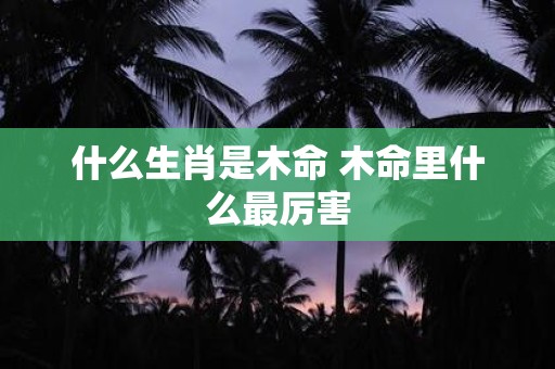 什么生肖是木命 木命里什么最厉害