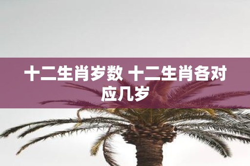 十二生肖岁数 十二生肖各对应几岁