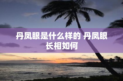 丹凤眼是什么样的 丹凤眼长相如何