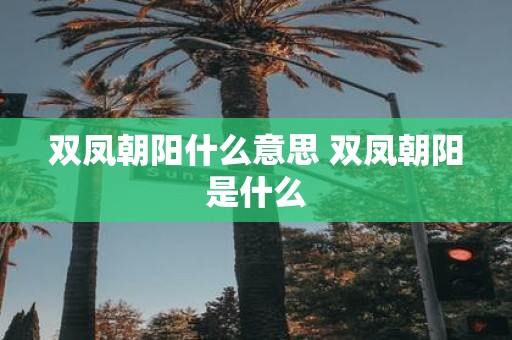 双凤朝阳什么意思 双凤朝阳是什么