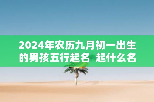 2025年农历九月初一出生的男孩五行起名 起什么名字最吉利