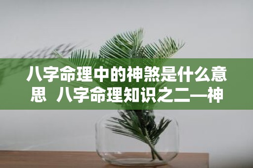 八字命理中的神煞是什么意思 八字命理知识之二—神煞篇