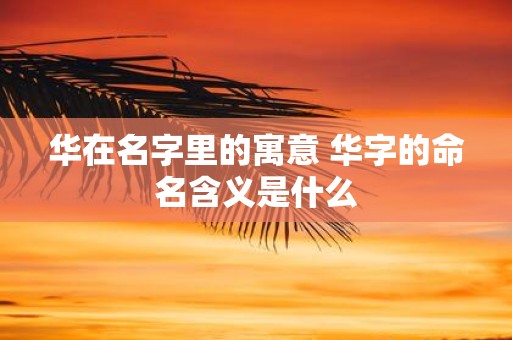 华在名字里的寓意 华字的命名含义是什么