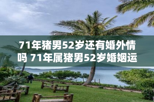 71年猪男52岁还有婚外情吗 71年属猪男52岁婚姻运势如何