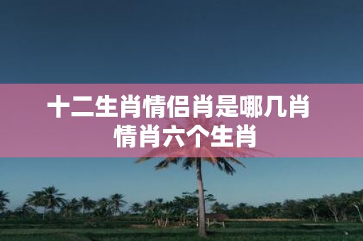 十二生肖情侣肖是哪几肖 情肖六个生肖
