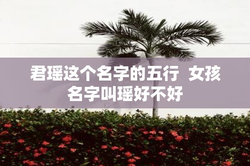 君瑶这个名字的五行 女孩名字叫瑶好不好