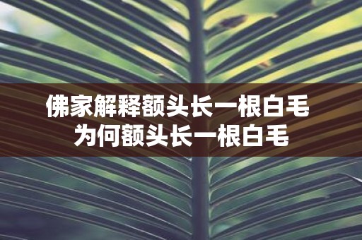 佛家解释额头长一根白毛 为何额头长一根白毛
