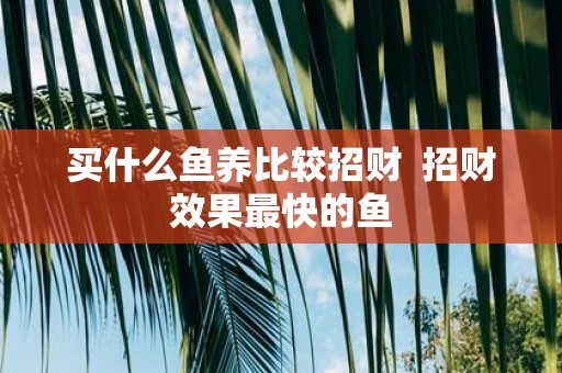 买什么鱼养比较招财 招财效果最快的鱼