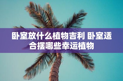 卧室放什么植物吉利 卧室适合摆哪些幸运植物