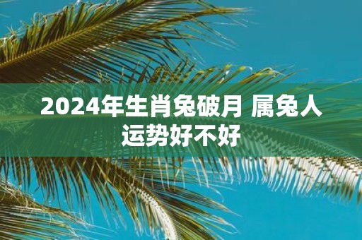 2025年生肖兔破月 属兔人运势好不好