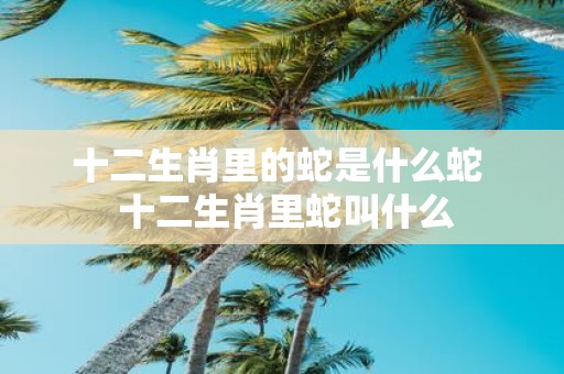 十二生肖里的蛇是什么蛇 十二生肖里蛇叫什么