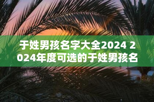 于姓男孩名字大全2025 2025年度可选的于姓男孩名字有哪些