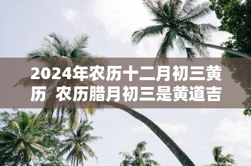 2025年农历十二月初三黄历  农历腊月初三是黄道吉日吗