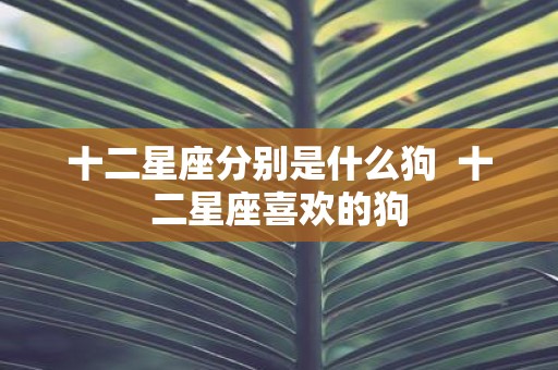 十二星座分别是什么狗 十二星座喜欢的狗