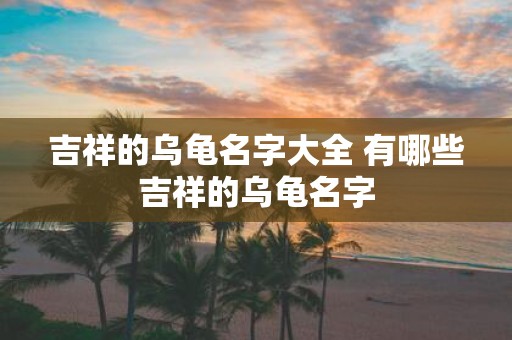 吉祥的乌龟名字大全 有哪些吉祥的乌龟名字