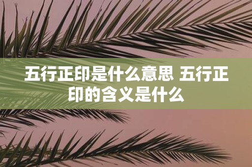 五行正印是什么意思 五行正印的含义是什么
