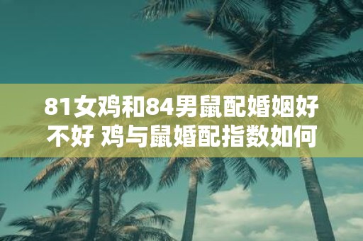 81女鸡和84男鼠配婚姻好不好 鸡与鼠婚配指数如何