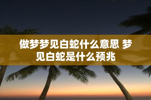 做梦梦见白蛇什么意思 梦见白蛇是什么预兆