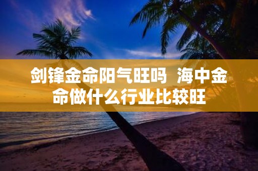 剑锋金命阳气旺吗 海中金命做什么行业比较旺