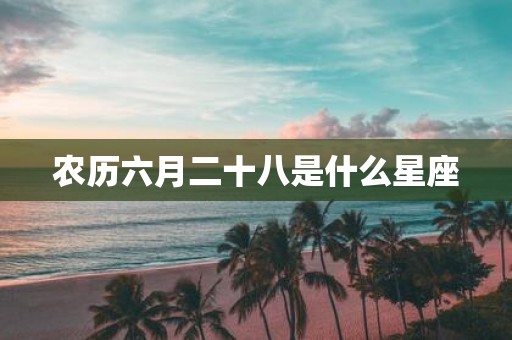 农历六月二十八是什么星座