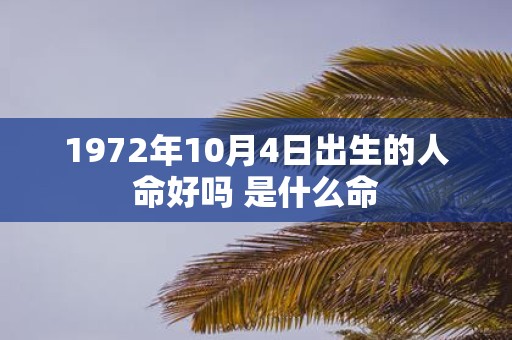 1972年10月4日出生的人命好吗 是什么命