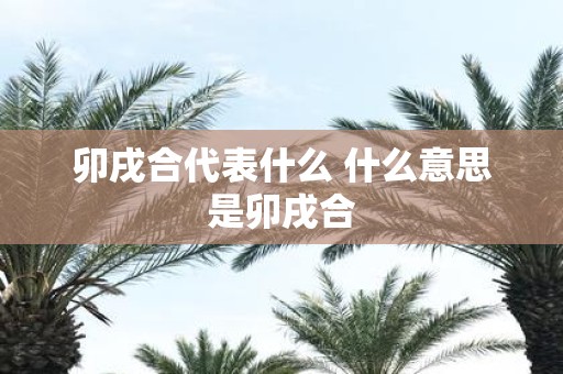 卯戌合代表什么 什么意思是卯戌合