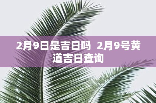 2月9日是吉日吗 2月9号黄道吉日查询
