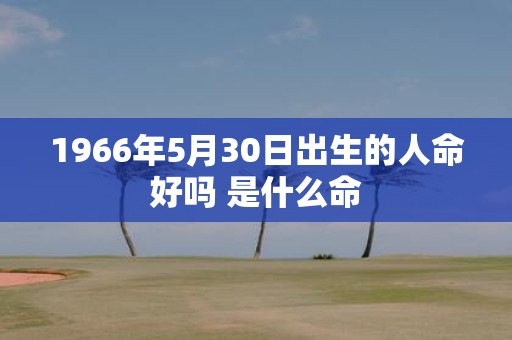 1966年5月30日出生的人命好吗 是什么命