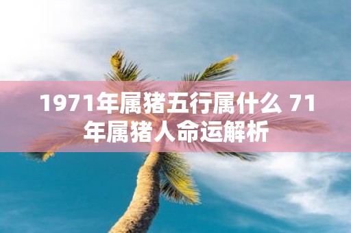 1971年属猪五行属什么 71年属猪人命运解析