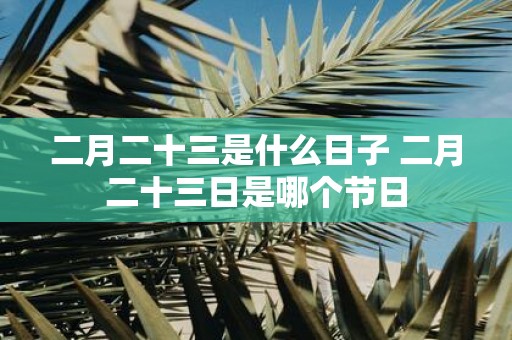 二月二十三是什么日子 二月二十三日是哪个节日