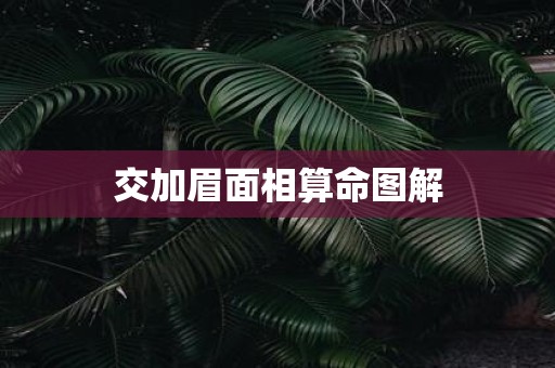 交加眉面相算命图解