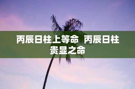 丙辰日柱上等命 丙辰日柱贵显之命