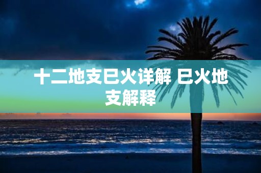 十二地支巳火详解 巳火地支解释