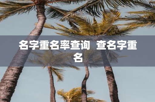 名字重名率查询 查名字重名