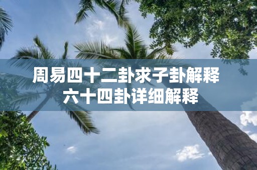 周易四十二卦求子卦解释 六十四卦详细解释