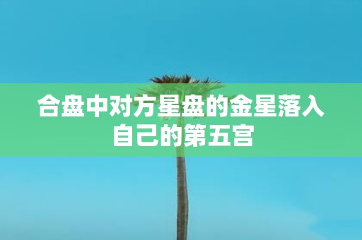 合盘中对方星盘的金星落入自己的第五宫