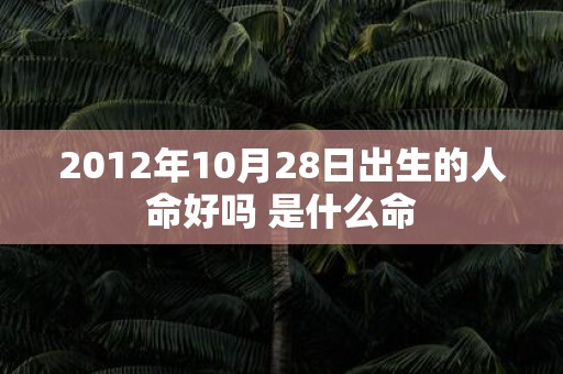 2012年10月28日出生的人命好吗 是什么命