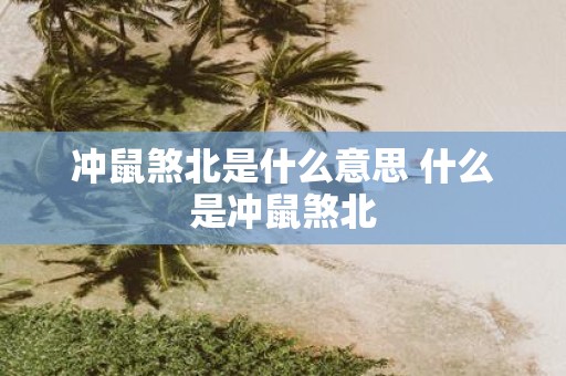 冲鼠煞北是什么意思 什么是冲鼠煞北