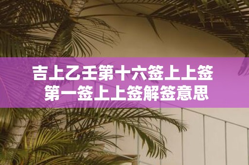 吉上乙壬第十六签上上签 第一签上上签解签意思