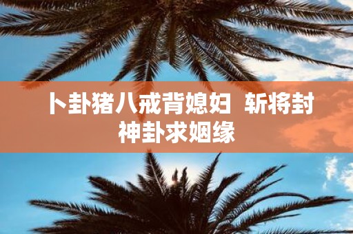 卜卦猪八戒背媳妇 斩将封神卦求姻缘