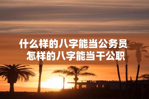 什么样的八字能当公务员 怎样的八字能当干公职