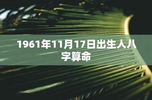 1961年11月17日出生人八字算命