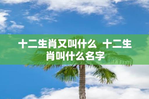 十二生肖又叫什么 十二生肖叫什么名字
