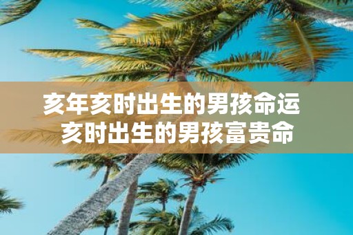 亥年亥时出生的男孩命运 亥时出生的男孩富贵命