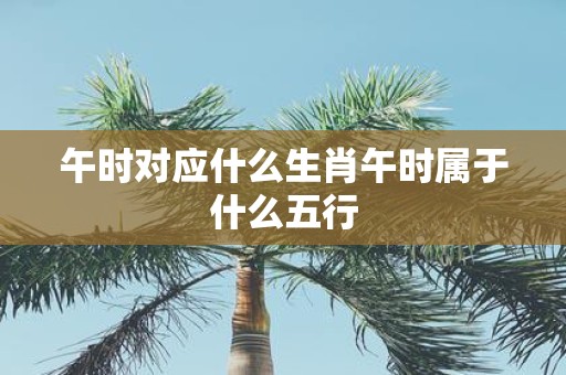 午时对应什么生肖午时属于什么五行