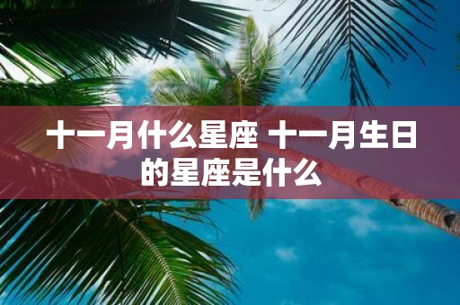 十一月什么星座 十一月生日的星座是什么